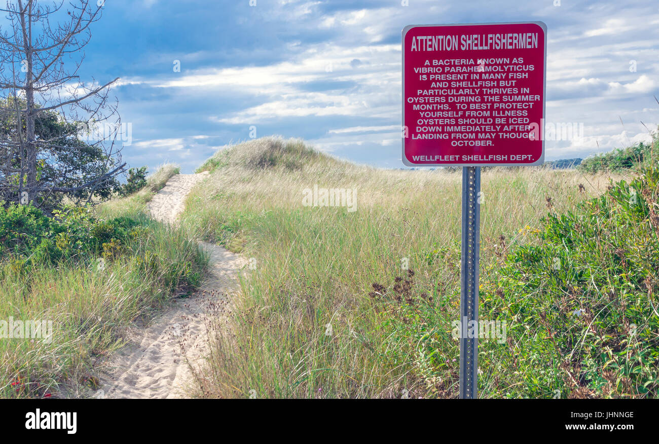 Sign warning shellfishermen that bacteria is present in many fish. Stock Photo