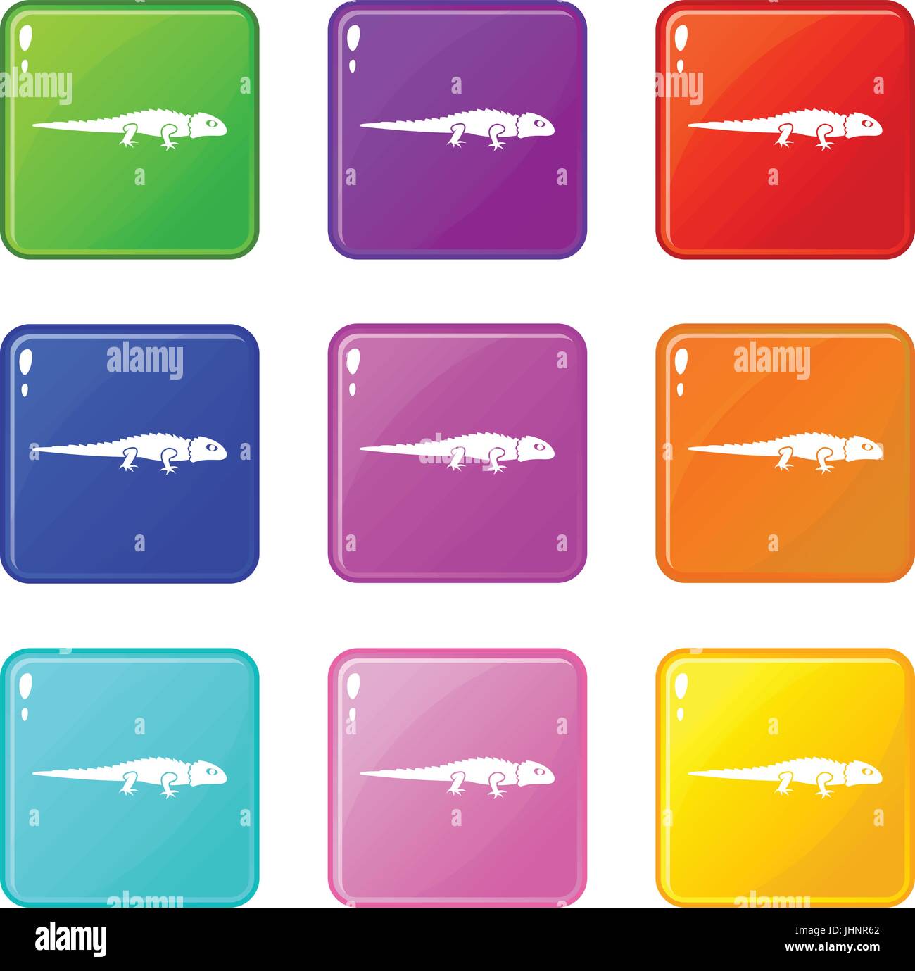 Iguana set icons Stock Vector Images - Alamy