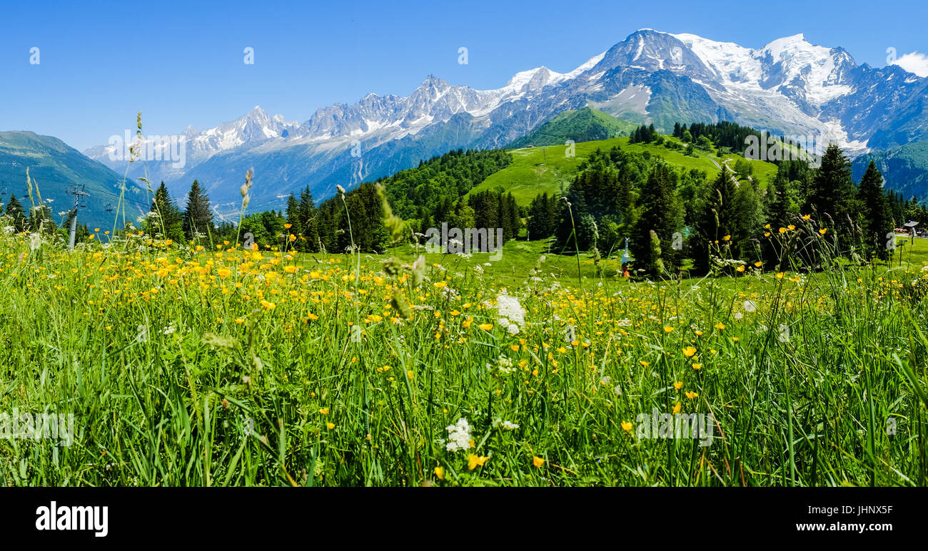 Mont blanc range spring flower hi-res stock photography and images - Alamy