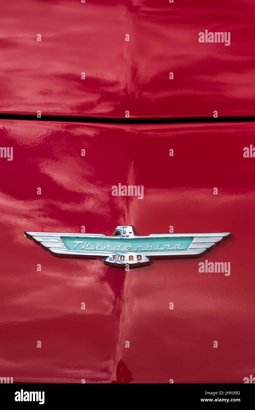 1957 Ford Thunderbird winged badge on the hood. Classic American T bird Stock Photo