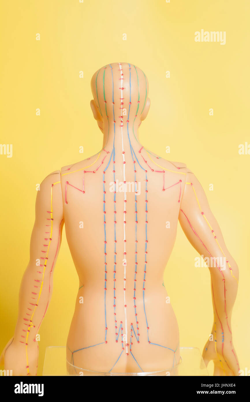 Medical acupuncture model of human on yellow background Stock Photo Alamy