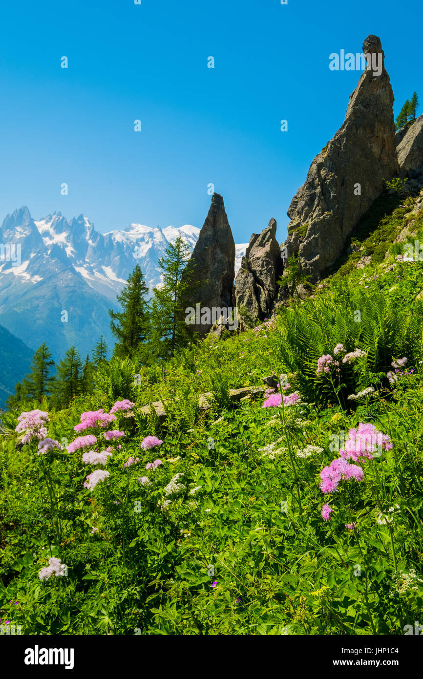 Mont blanc range spring flower hi-res stock photography and images - Alamy