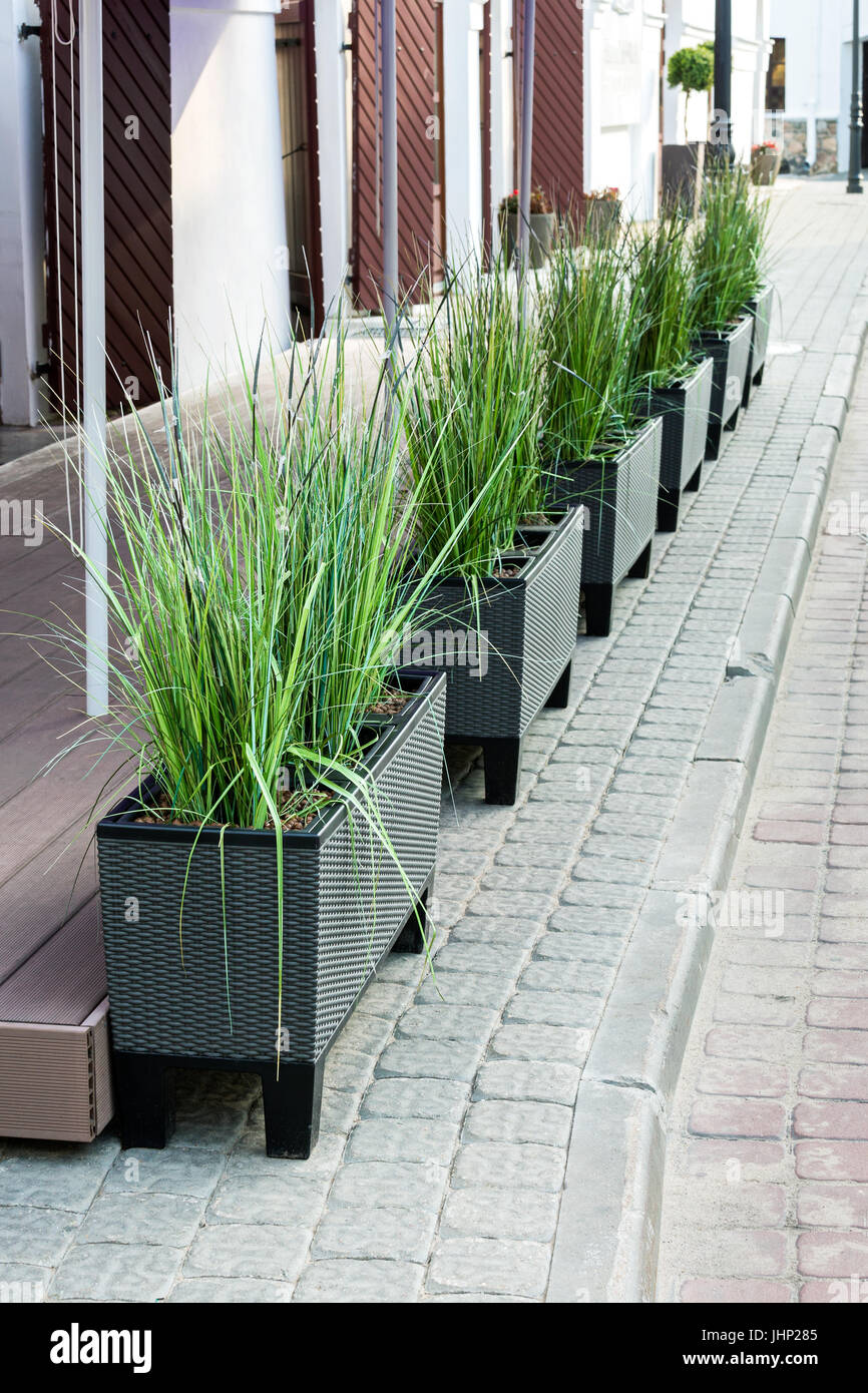 pots with flowers on the pavement of city street. exterior decoration with row of flowerpots. Stock Photo