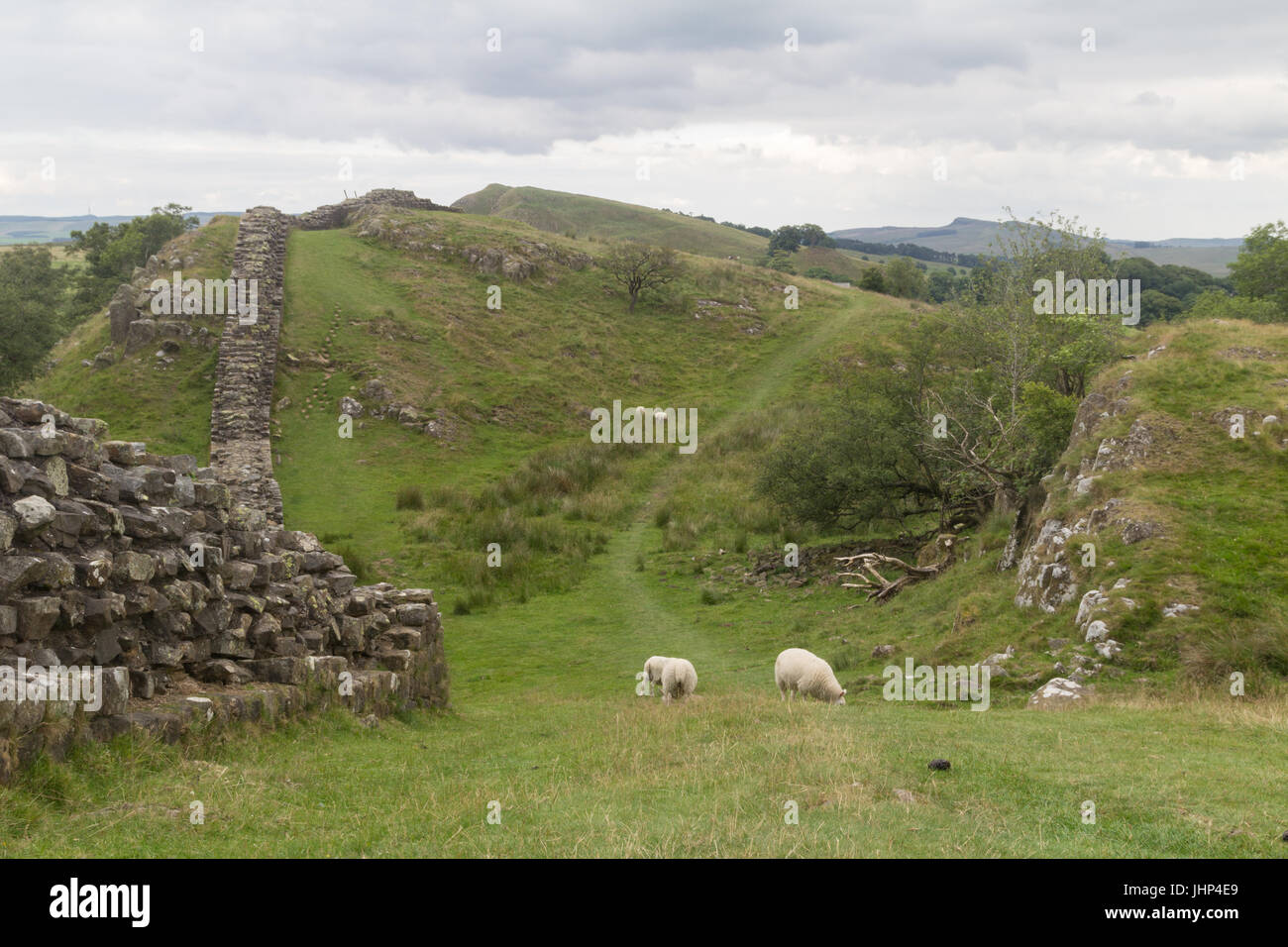 Hadrian's Wall at Walltown, Northumberland, UK Stock Photo - Alamy