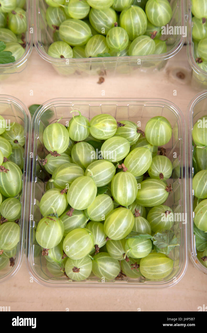 Gooseberry Fruit Background on Market Stall Stock Photo Alamy