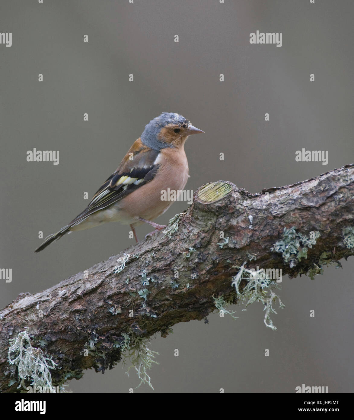 My Image 34