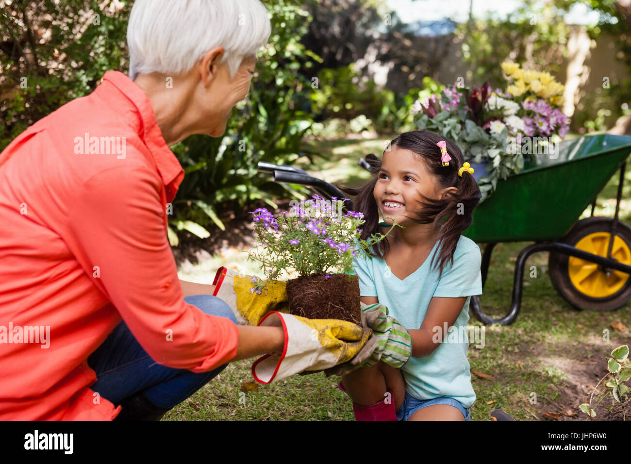 Smiling girl looking at grandmother while giving flowering pot at backyard Stock Photo
