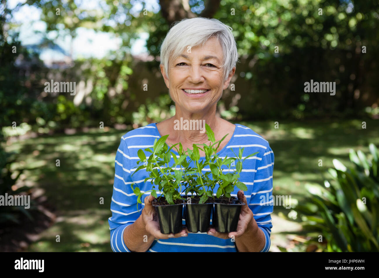 Portrait of smiling senior woman holding seedlings at backyard Stock ...