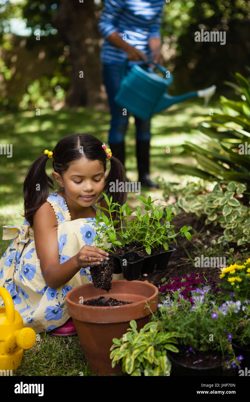 Girl planting in pot while grandmother watering plants at backyard Stock Photo