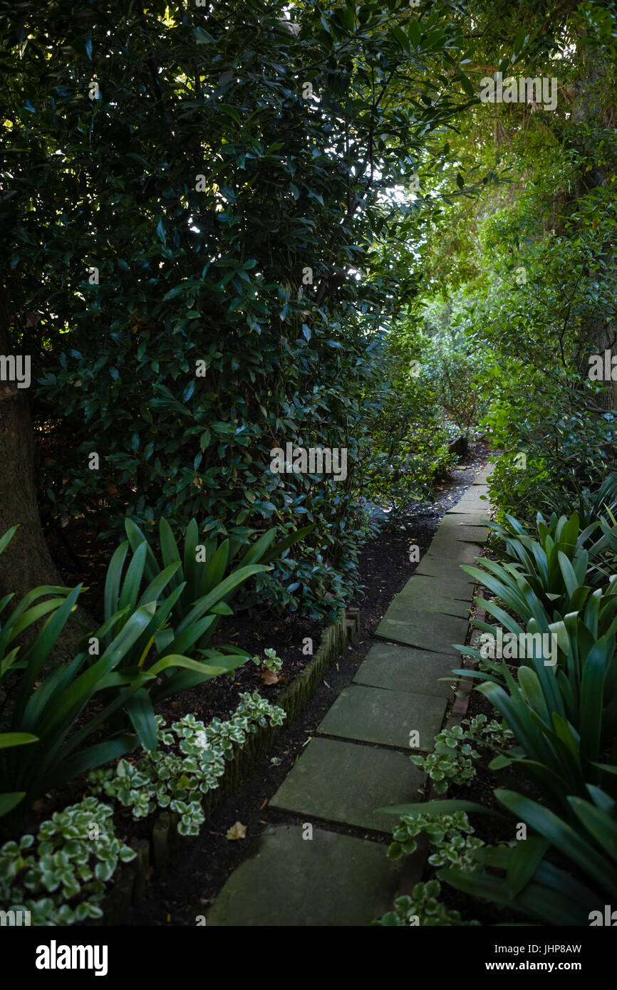 Empty footpath hi-res stock photography and images - Alamy