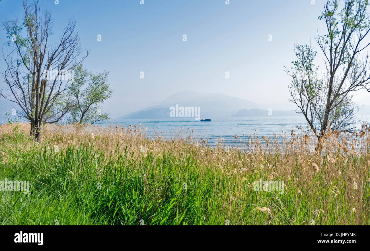 LAKE GARDA SIRMIONE LAKESIDE REEDS AND BLUE DISTANT HILLS Stock Photo