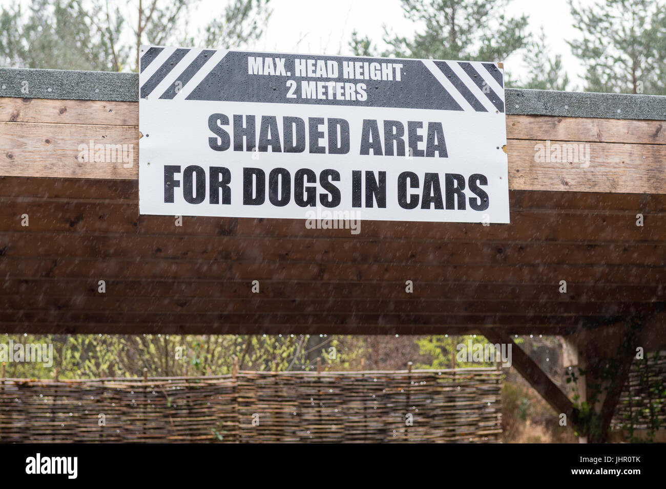 Shaded area for dogs in cars at Beinn Eighe NNR visitor centre, Kinlochewe, Scotland, UK Stock Photo