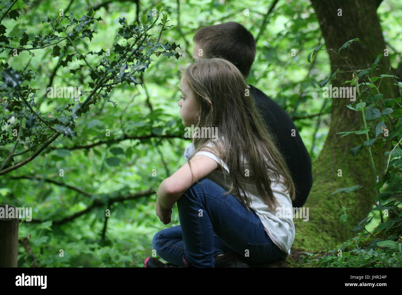 brother and sister sat in a tree, kids who climb trees, tree house Stock Photo