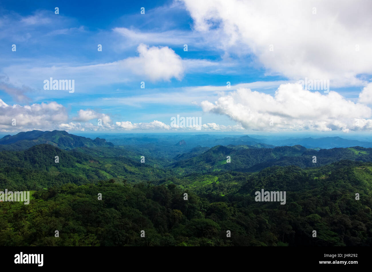 Landscape images taken in the mountains of Panama in Altos del Maria