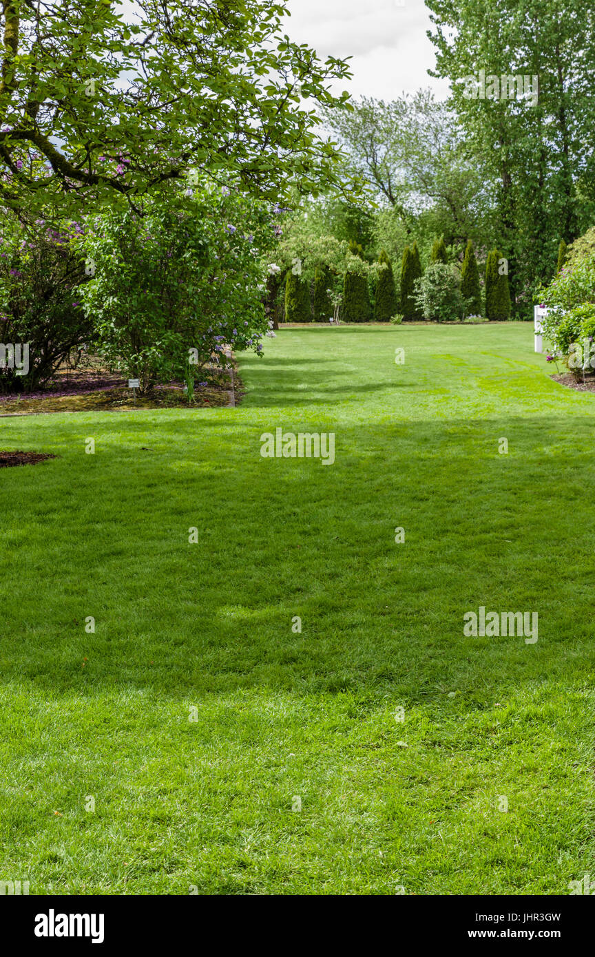 Green lawn and garden with trees Stock Photo - Alamy