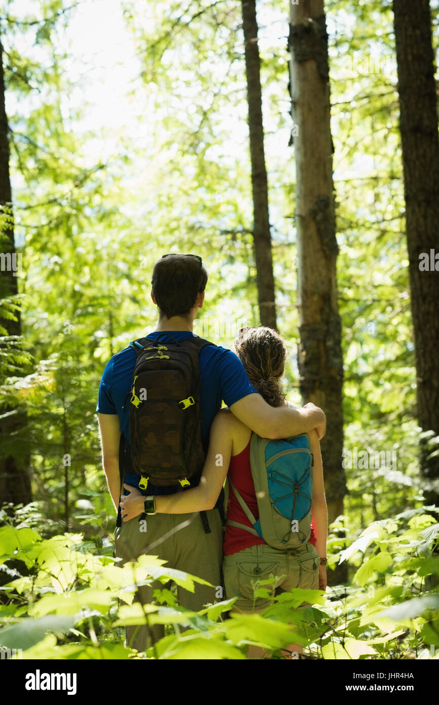 Rear view of couple standing in the forest Stock Photo - Alamy