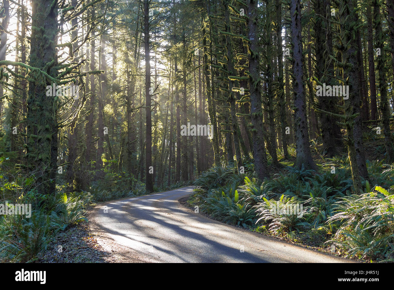 Beaming Sun Stock Photos & Beaming Sun Stock Images - Alamy