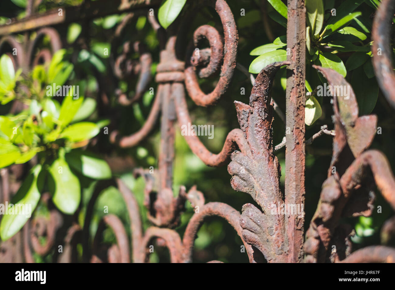 old rusted fence - rusty railing, wrought metal balustrade Stock Photo
