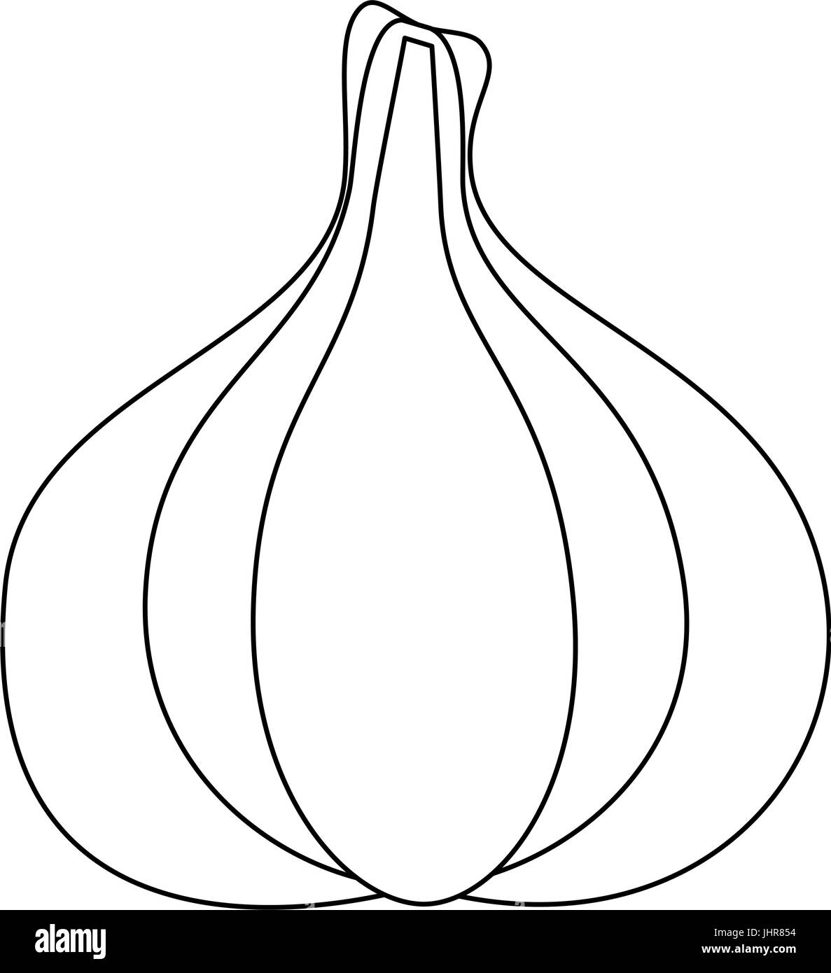 garlic head icon over white background vector illustration Stock Vector