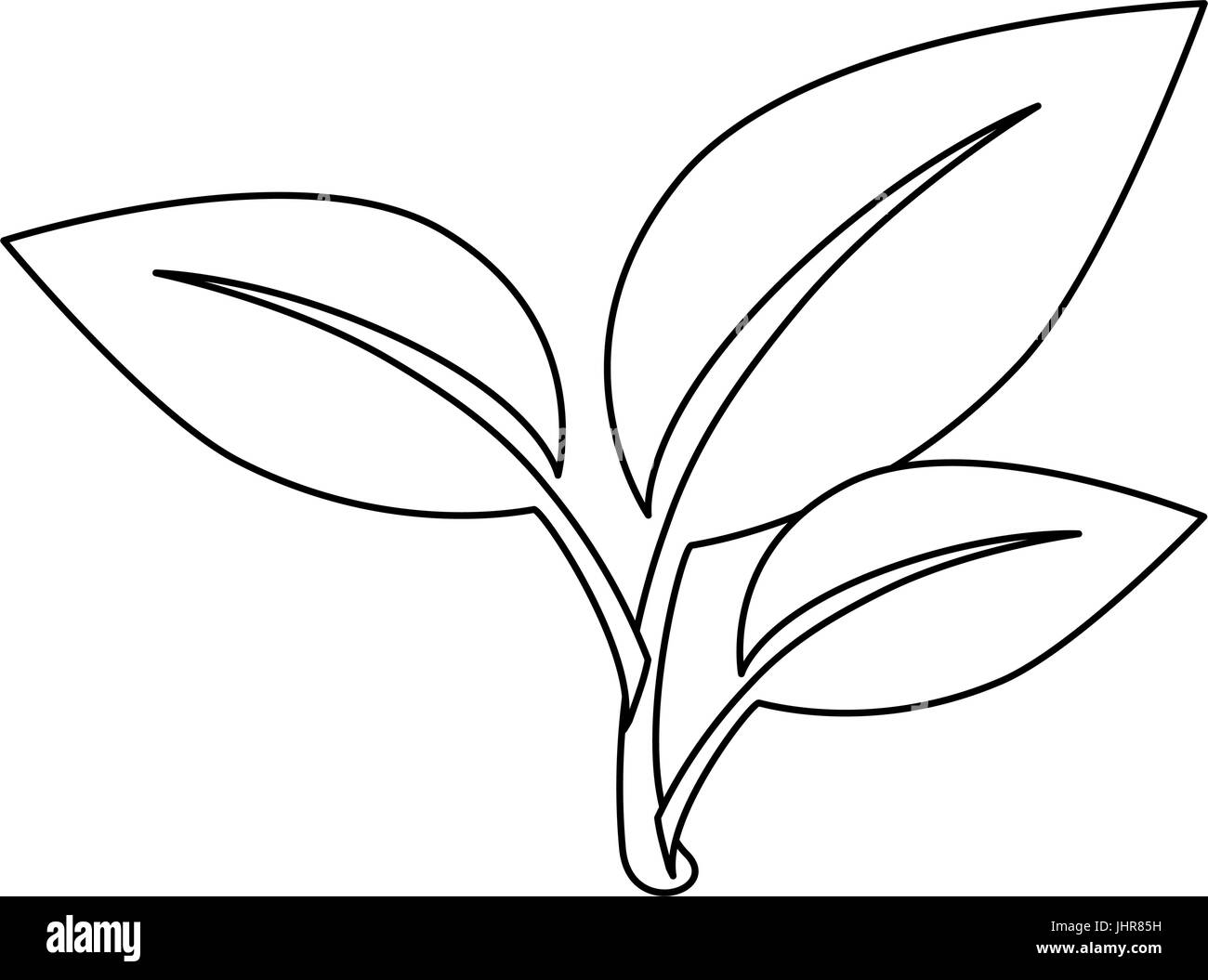 stem with leaves icon over white background vector illustration Stock ...