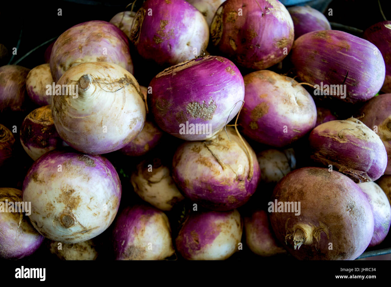 Fresh, colorful turnips at the farmers market. Stock Photo