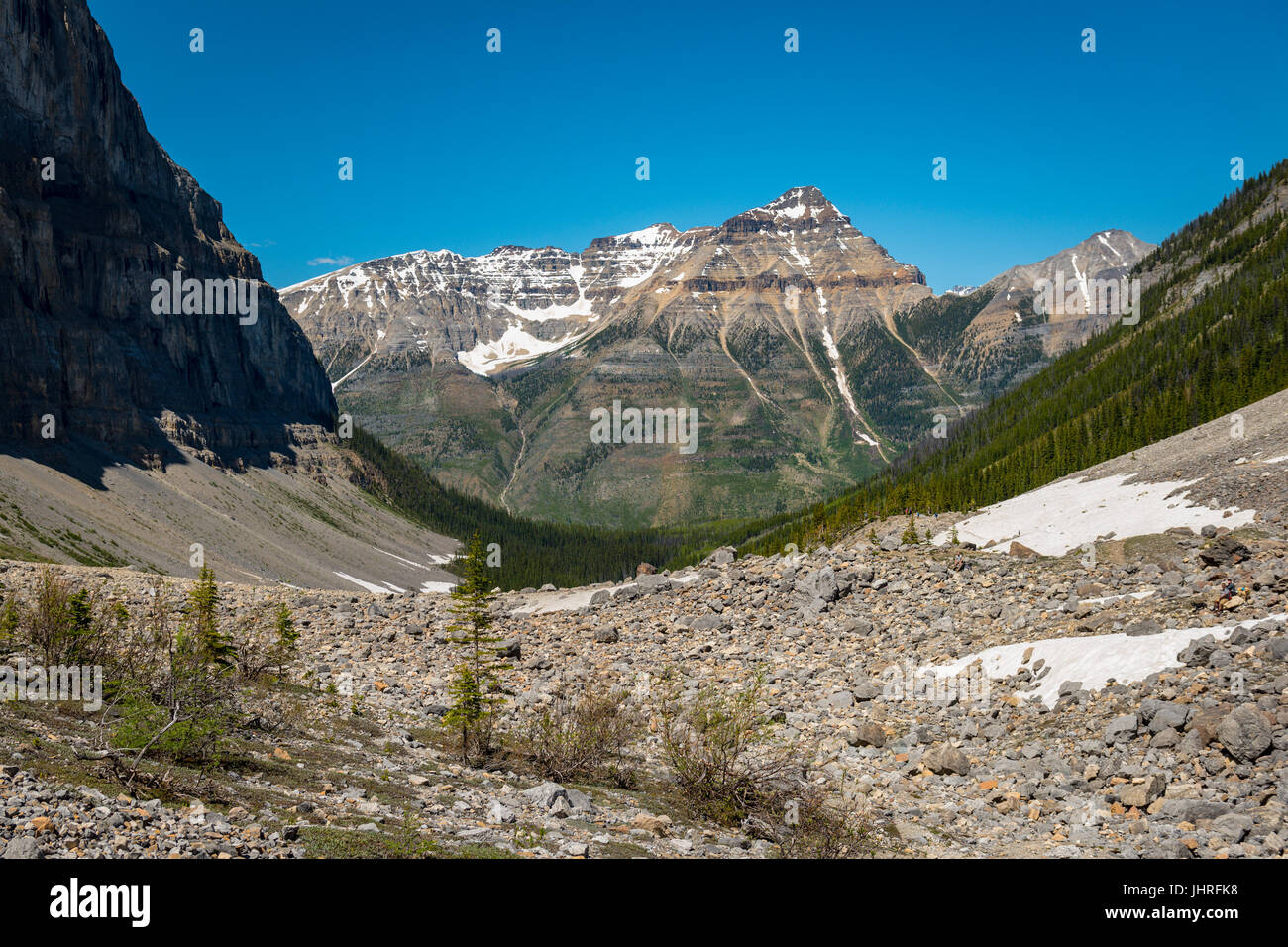 stanley glacier trail