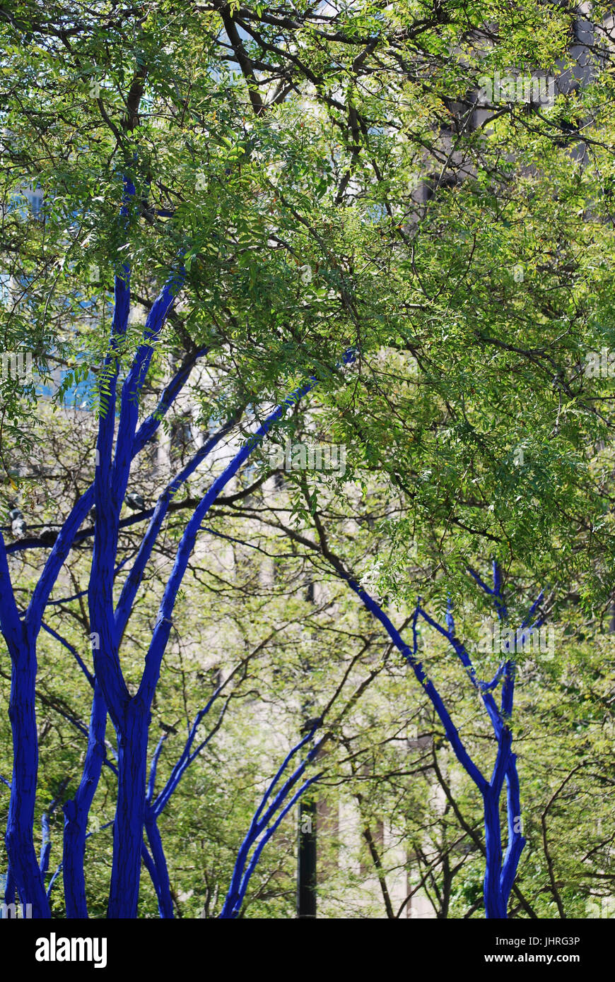 Seattle - Westlake Park, Blue trees, Seattle, WA. USA. public art, deforestation awareness project Stock Photo