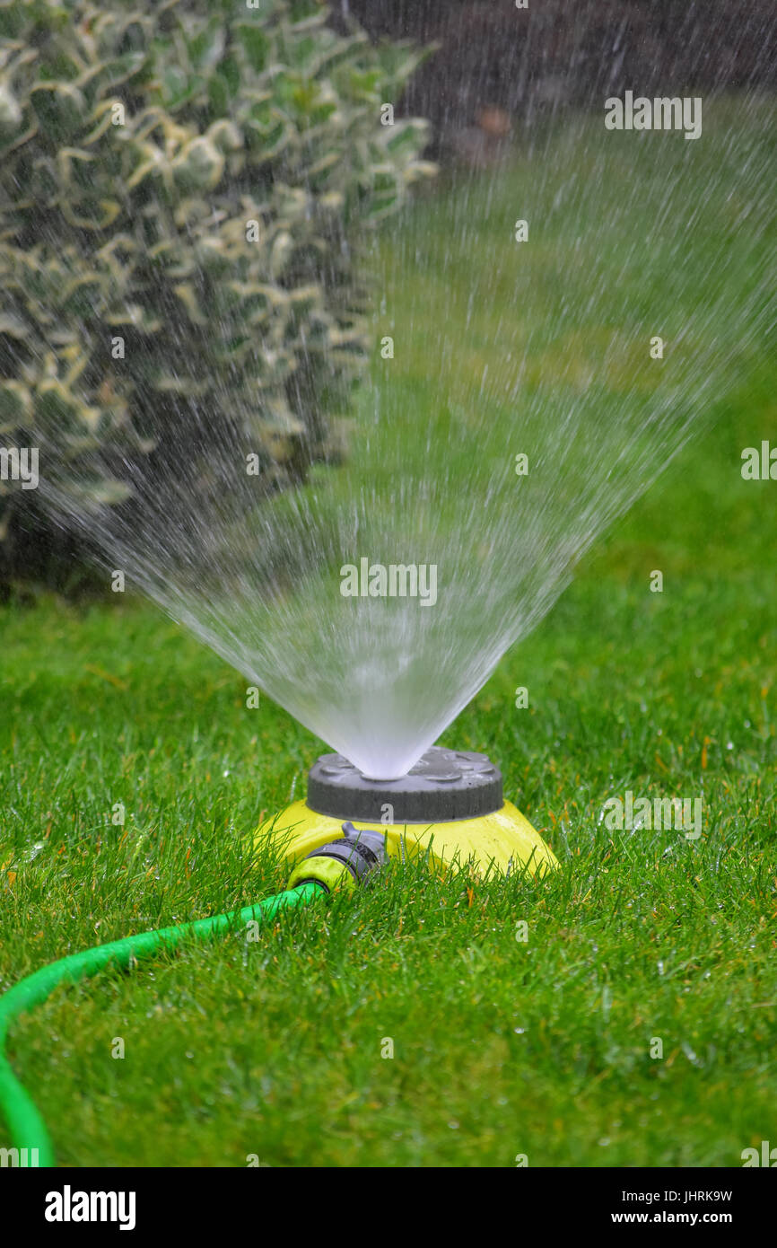 Garden sprinkler and hose Stock Photo Alamy