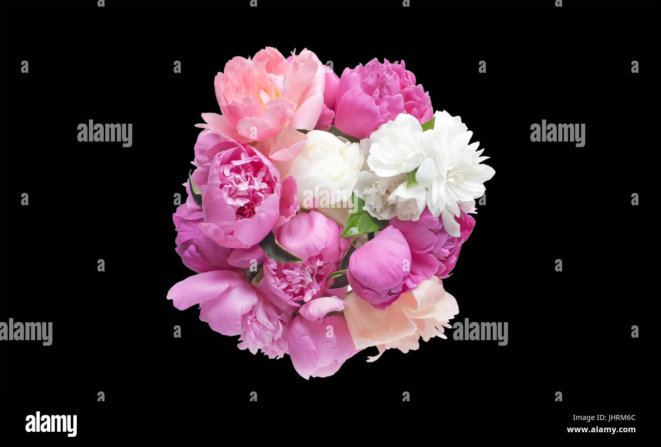 Bouquet peony flowers pink and red isolated on black background Stock ...