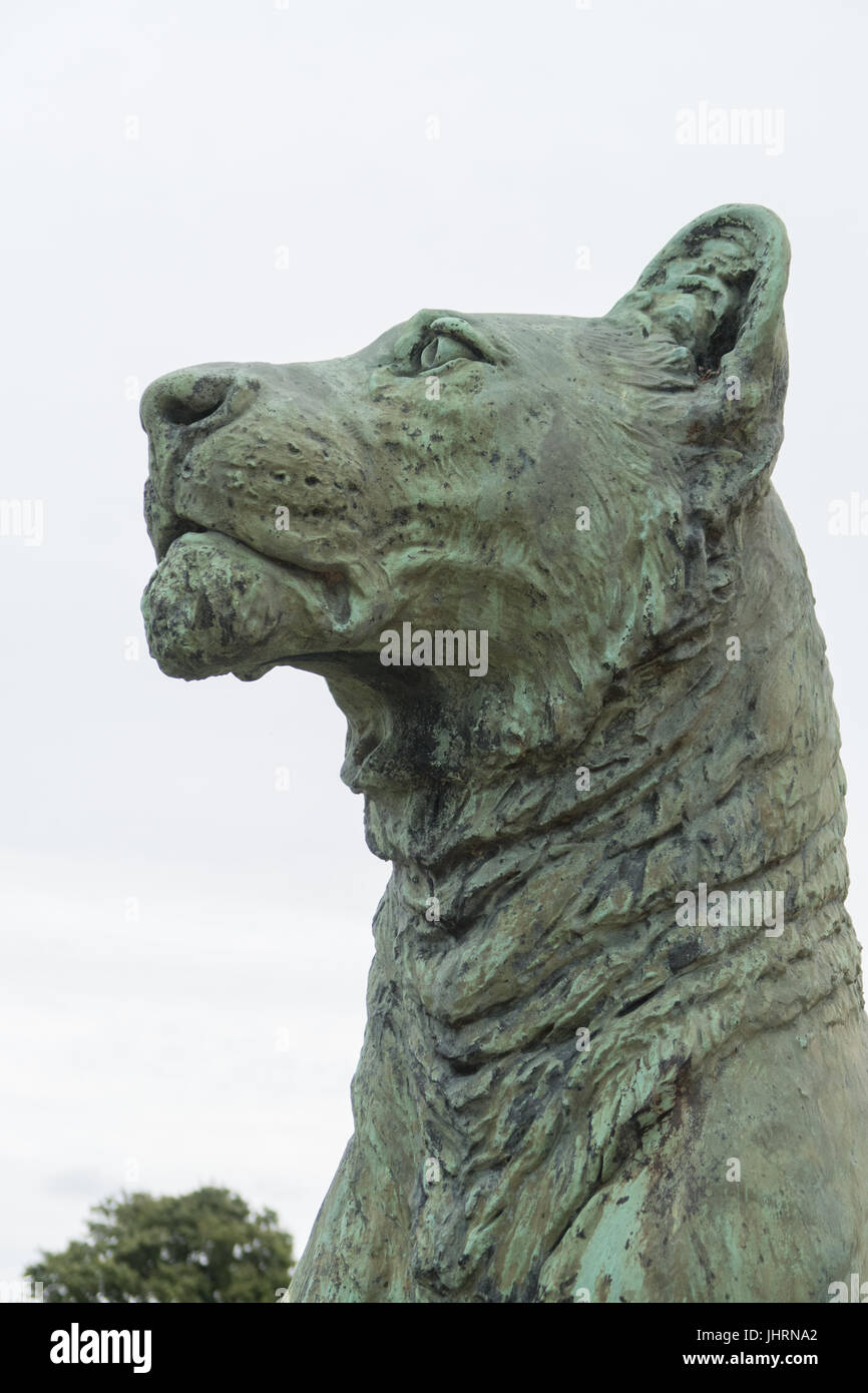 LARGE BRONZE LION STATUE SCULPTURE Stock Photo Alamy