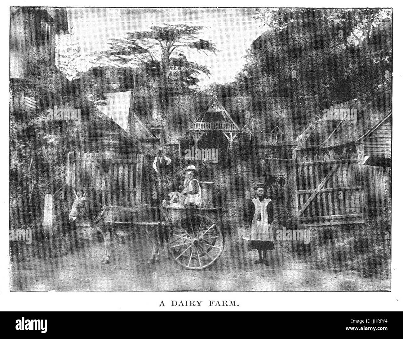 A typical Victorian Dairy Farm Stock Photo Alamy