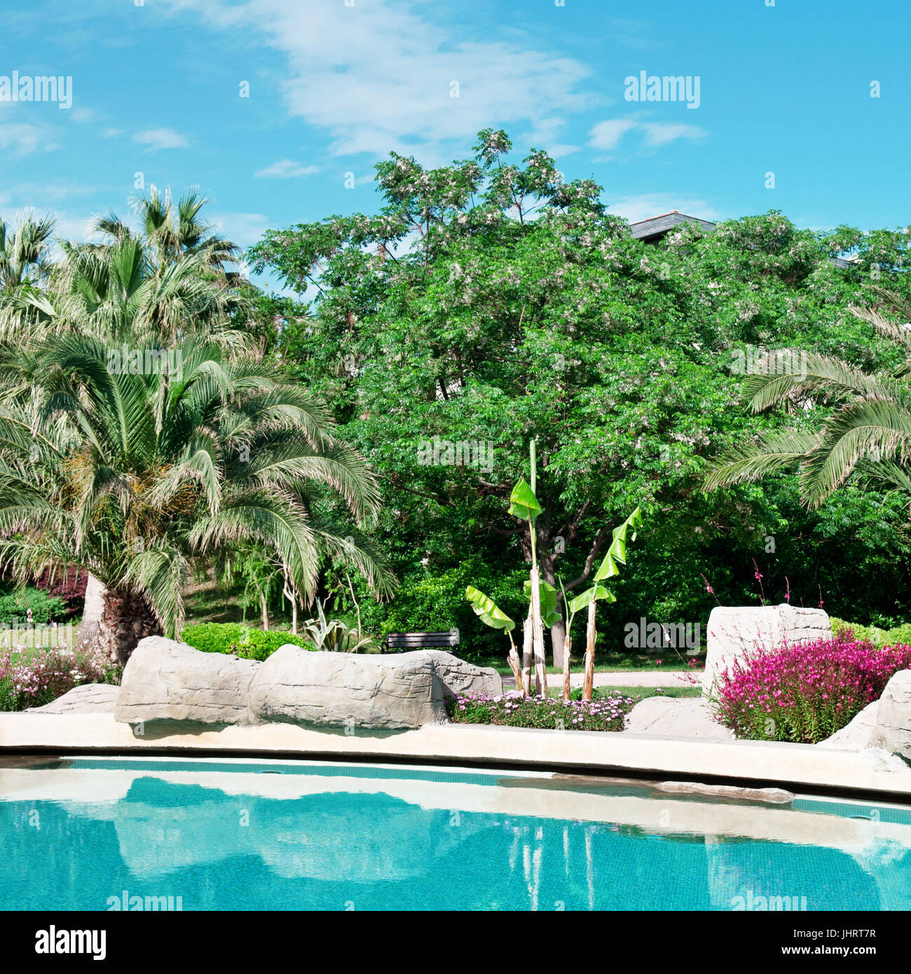 palm trees and flowers around the outdoor pool Stock Photo Alamy