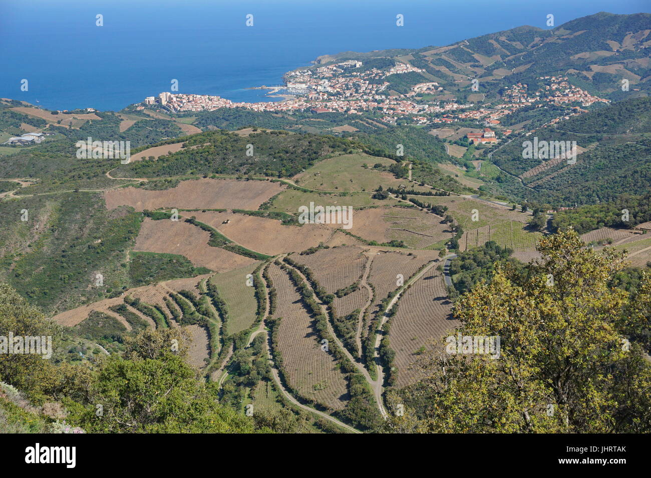 Landscape over vineyards fields and the coastal town of Banyuls-sur-Mer, south of France, Mediterranean sea, Pyrenees Orientales Stock Photo