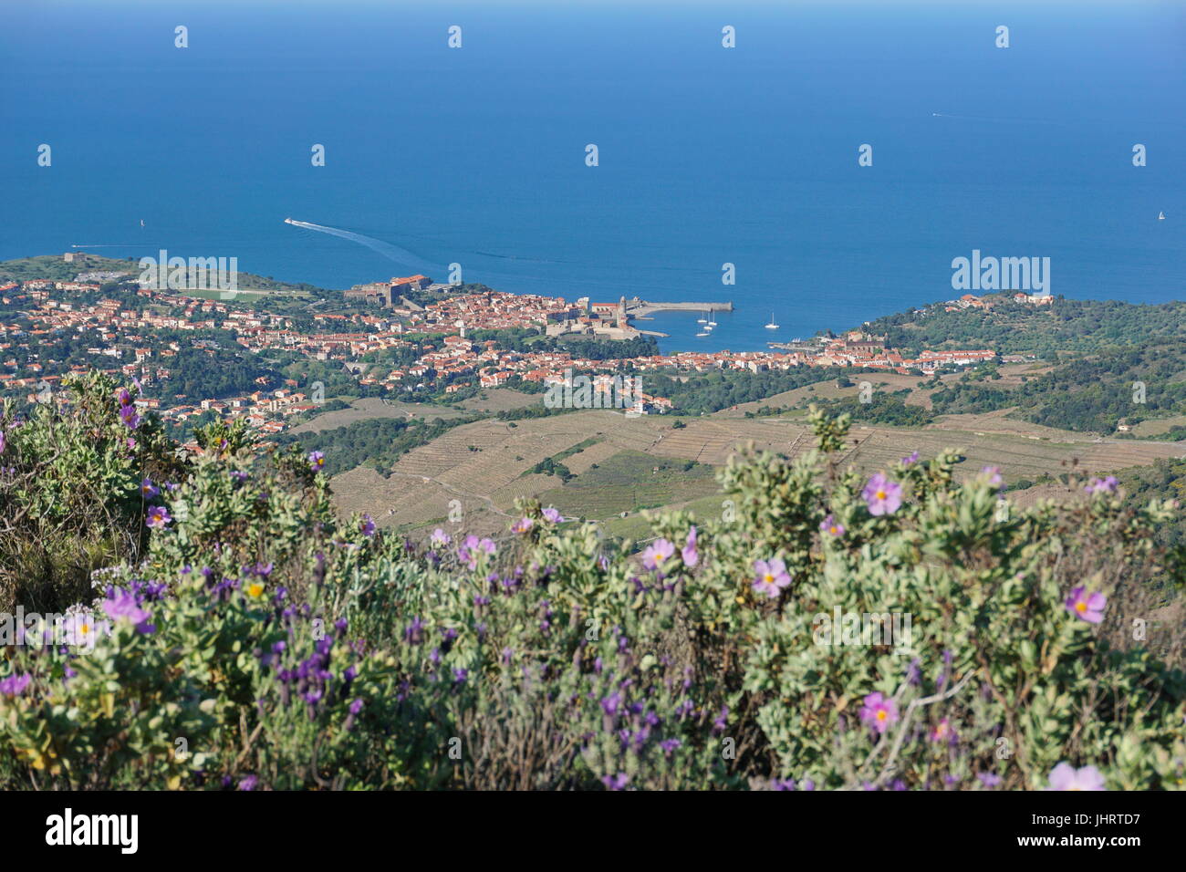 Coastal village landscape Collioure on the shore of the Mediterranean sea, seen from the heights, France, Roussillon, Pyrenees Orientales Stock Photo
