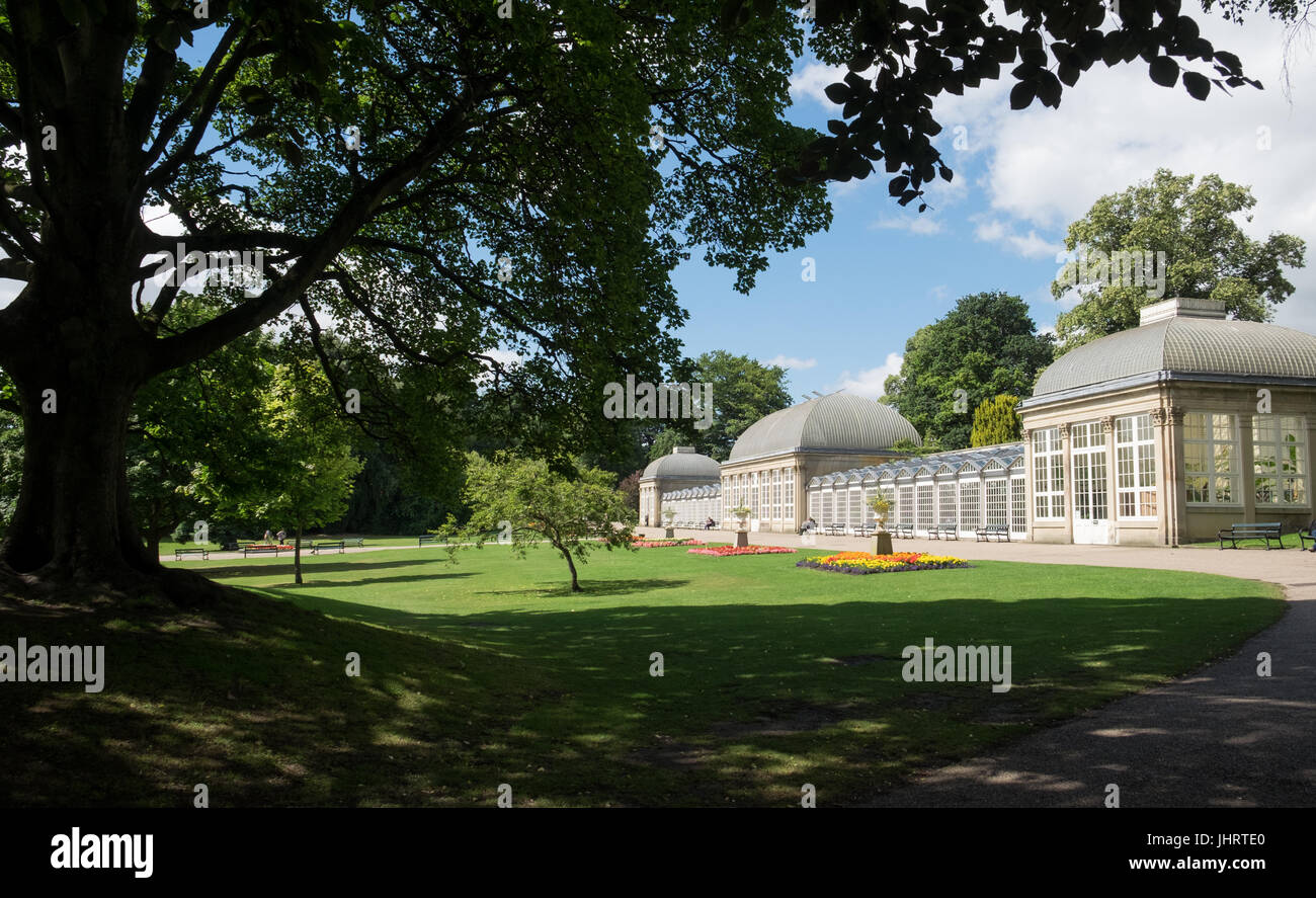 Sheffield Botanical Gardens glasshouse Stock Photo