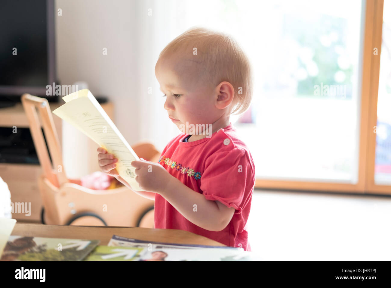 Toddler looking very interested at a text, Germany Stock Photo