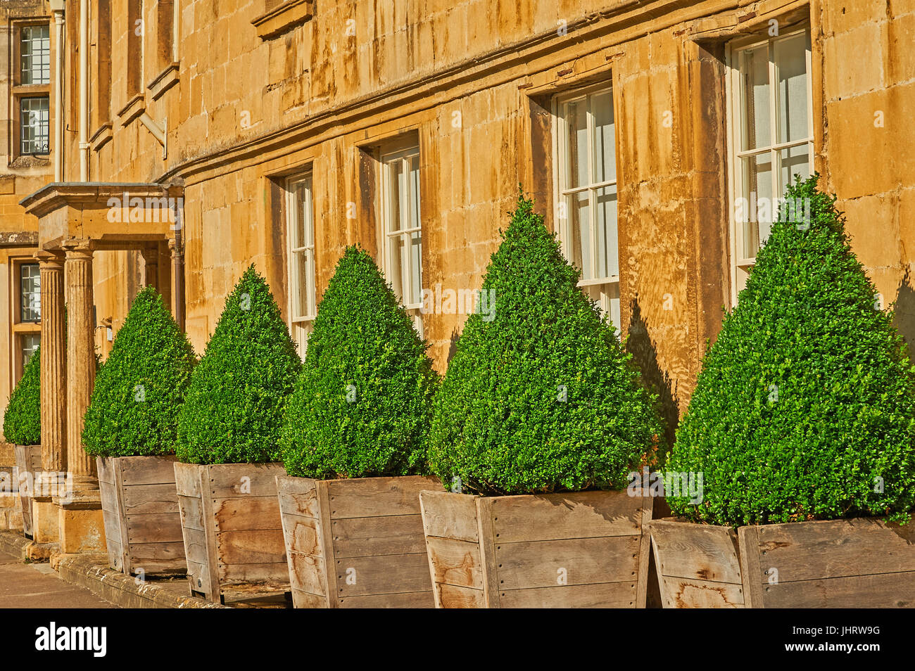 Repeating patterns of windows and conical shaped bushes. Stock Photo
