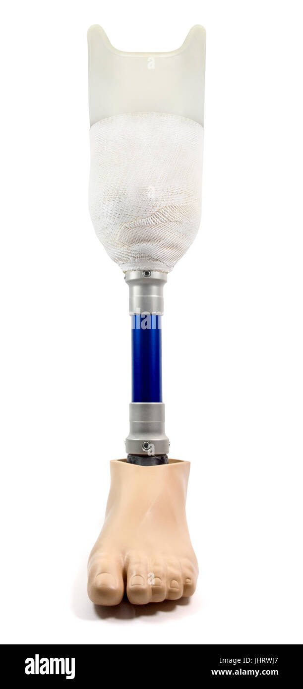 Isolated Prosthetic Leg and Foot. Artificial leg prosthesis on a white background. Stock Photo