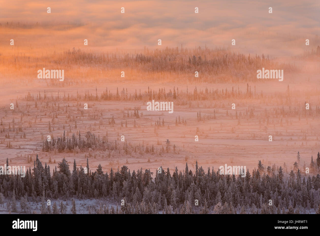 Scenery in the back light, Swedish Lapland, Scandinavia, Landschaft im Gegenlicht, Schwedisch-Lappland, Skandinavien Stock Photo