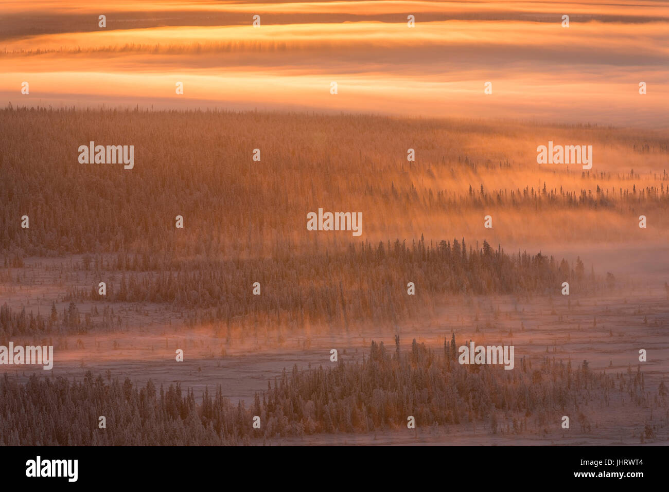 Scenery in the back light, Swedish Lapland, Scandinavia, Landschaft im Gegenlicht, Schwedisch-Lappland, Skandinavien Stock Photo