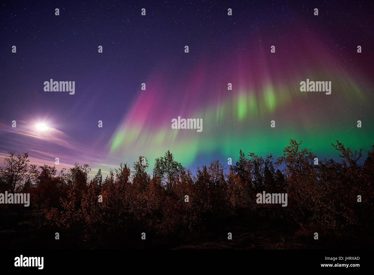 North light, Swedish Lapland, Scandinavia, Nordlicht, Schwedisch-Lappland, Skandinavien Stock Photo