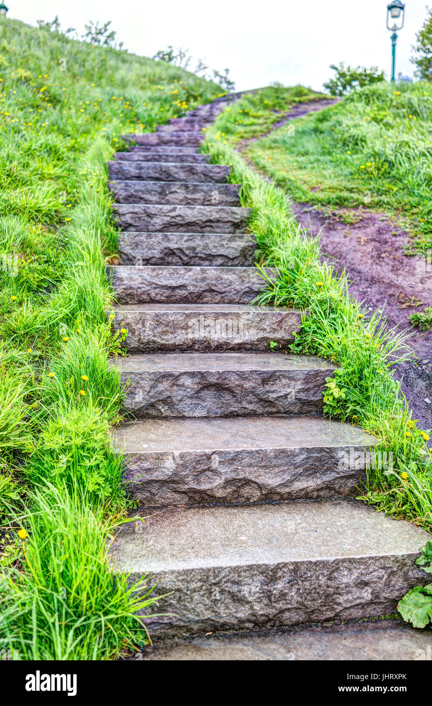 Foto de Mysterious looking steps in a green dark garden do Stock