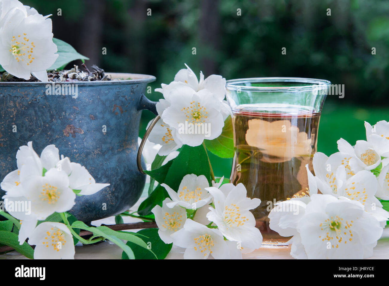 Jasmine tea with jasmine flowers Stock Photo Alamy
