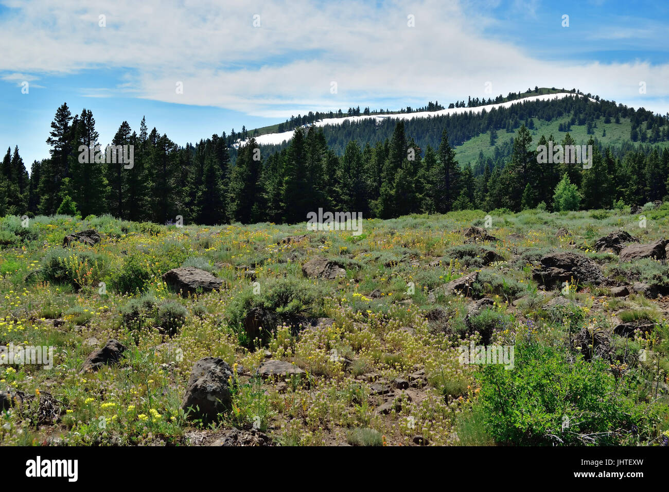 Modoc national forest california hires stock photography and images
