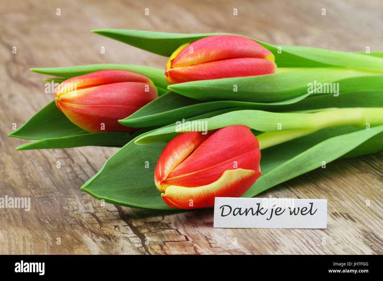 Dank je wel (thank you in Dutch) card with red tulips on wooden surface Stock Photo Alamy