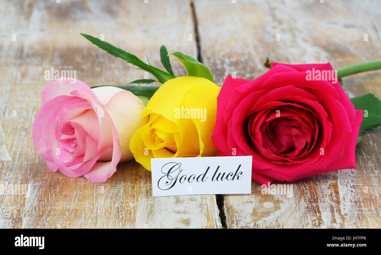 Good luck card with three colorful roses on rustic wooden surface Stock Photo
