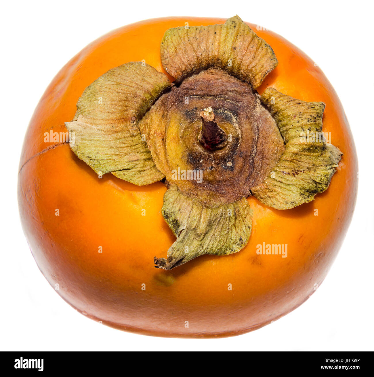 Orange Persimmon (Kaki, Diospyros kaki) fruit, close up, isolated, white background. Family Ebenaceae. Stock Photo