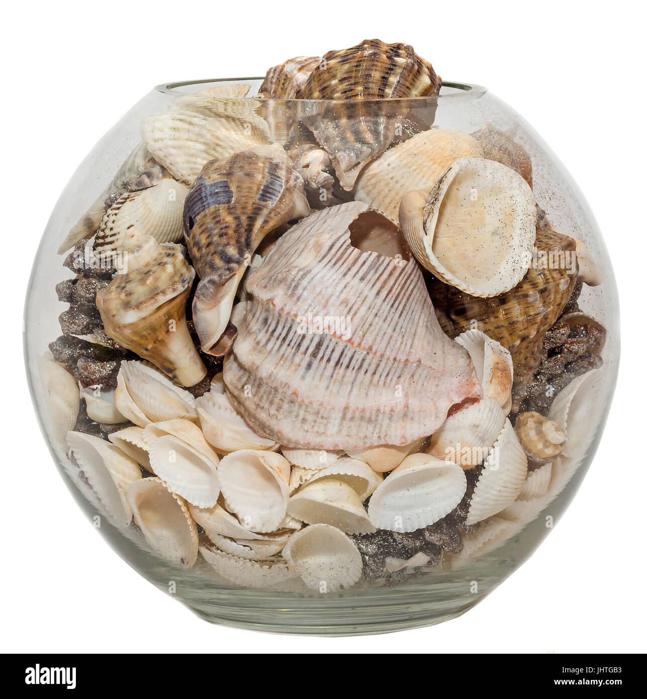 Transparent Bowl Vase Filled With Sea Shells And Pine Cones Stock