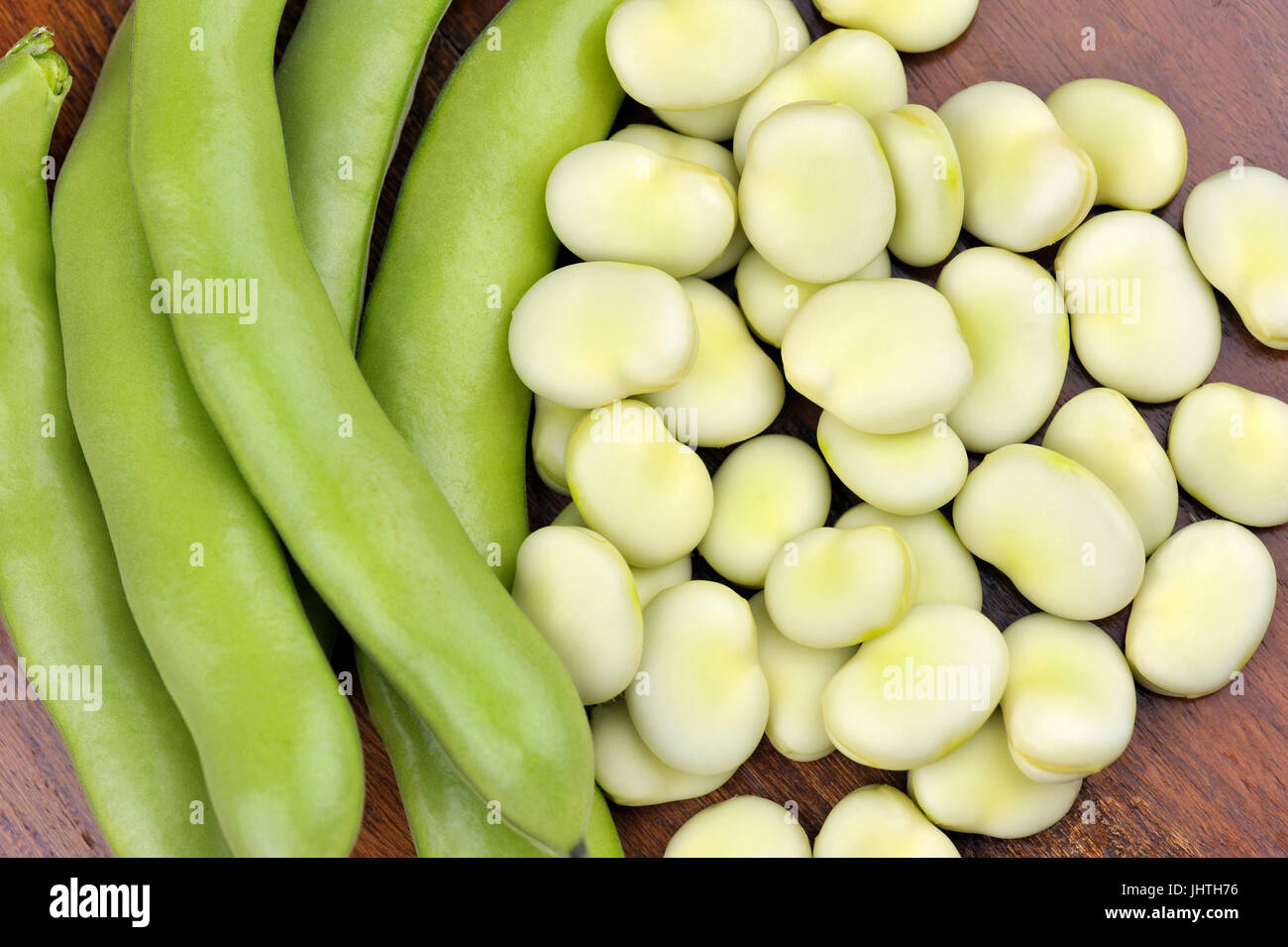 Freshly picked broad beans, variety Witkiem Manita, Vicia Faba also