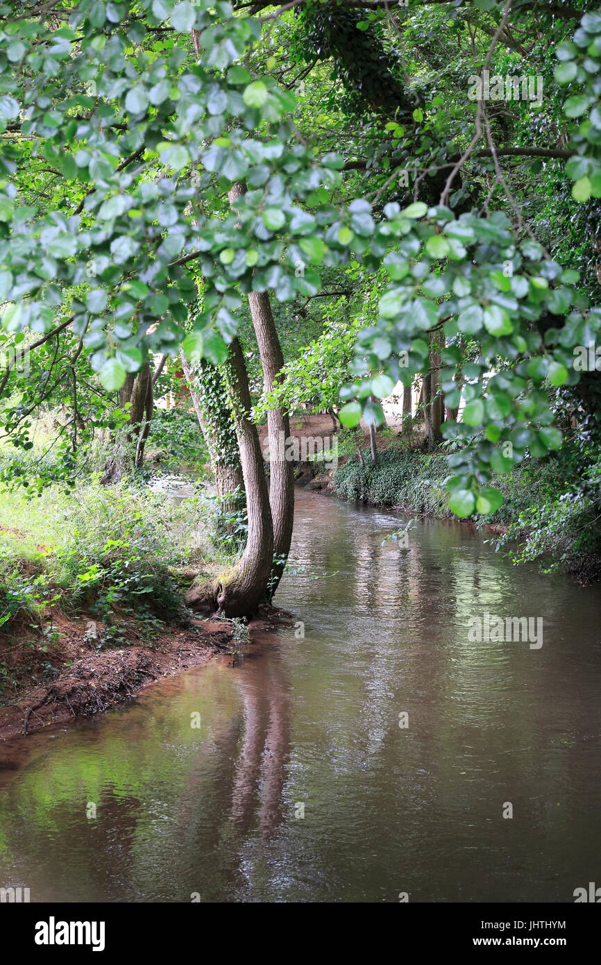 Fluß Lauter bei Wissembourg im Elsaß Frankreich Stock Photo Alamy